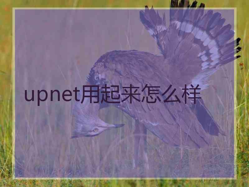 upnet用起来怎么样