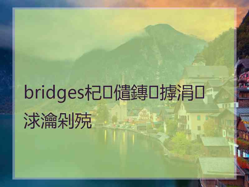 bridges杞儙鏄摢涓浗瀹剁殑