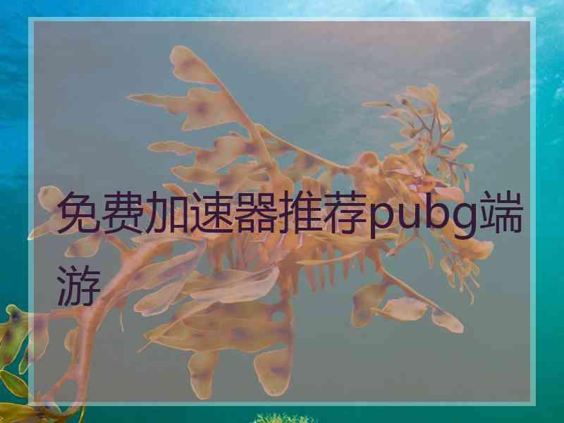 免费加速器推荐pubg端游