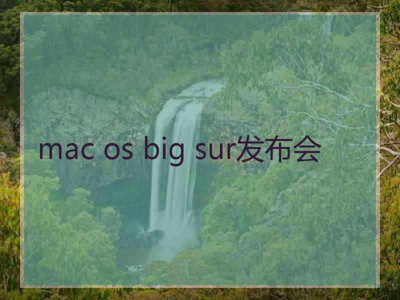 mac os big sur发布会