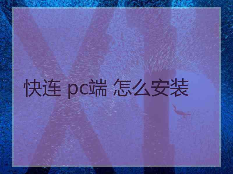 快连 pc端 怎么安装