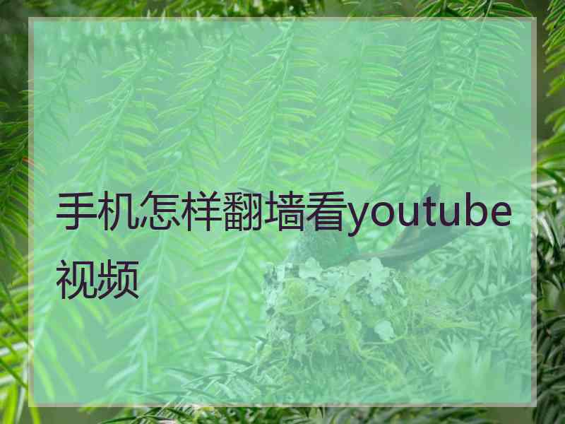 手机怎样翻墙看youtube视频