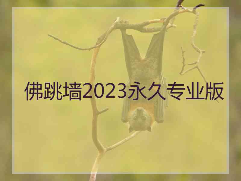 佛跳墙2023永久专业版