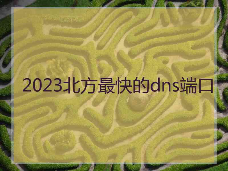 2023北方最快的dns端口