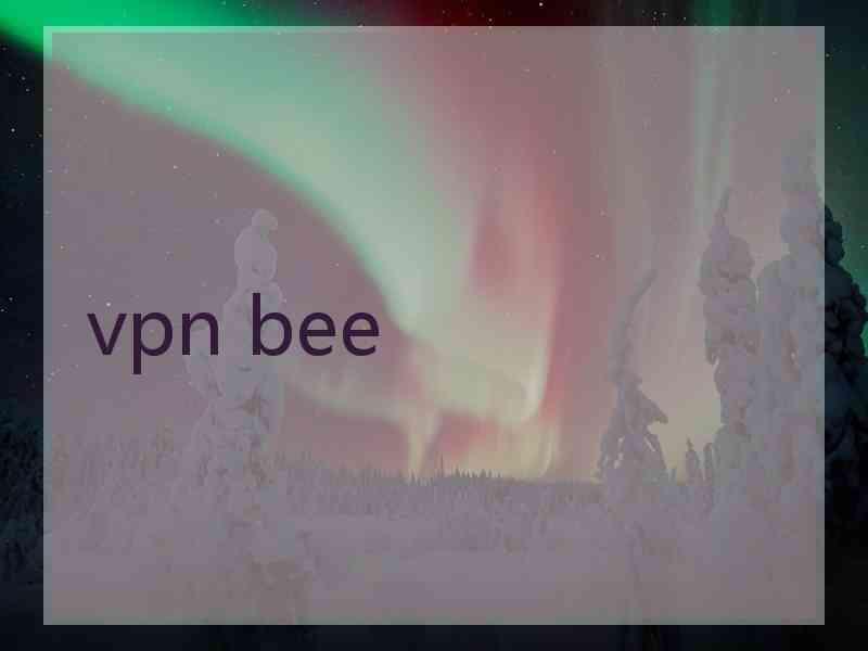 vpn bee