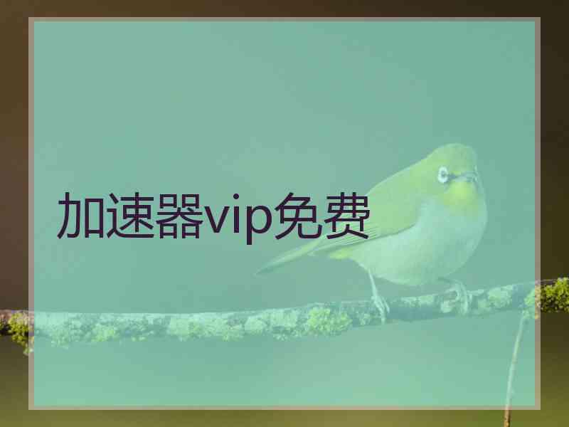 加速器vip免费