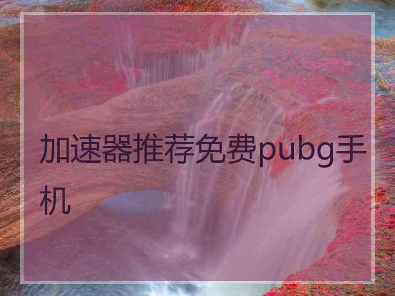 加速器推荐免费pubg手机