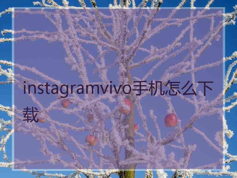 instagramvivo手机怎么下载