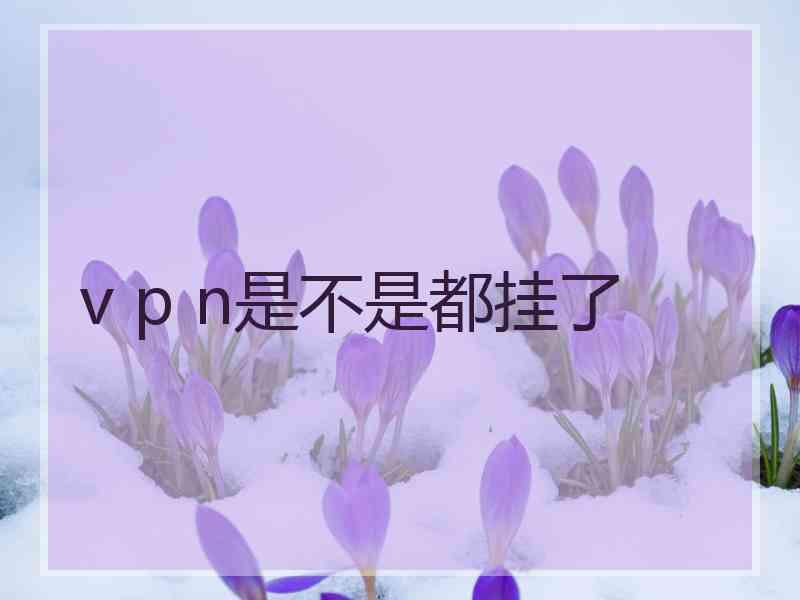 v p n是不是都挂了