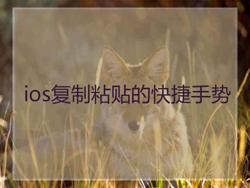 ios复制粘贴的快捷手势