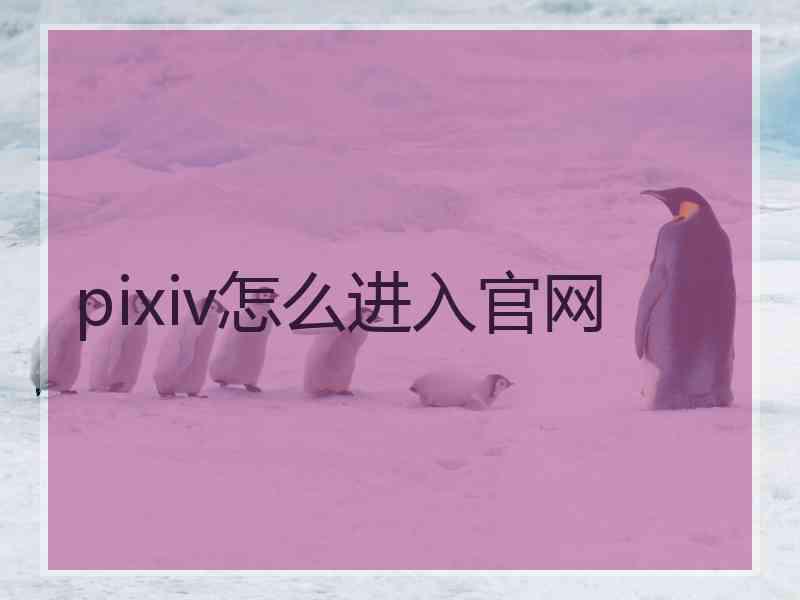 pixiv怎么进入官网