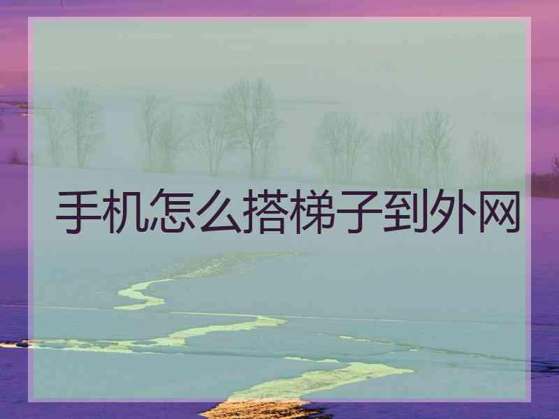 手机怎么搭梯子到外网