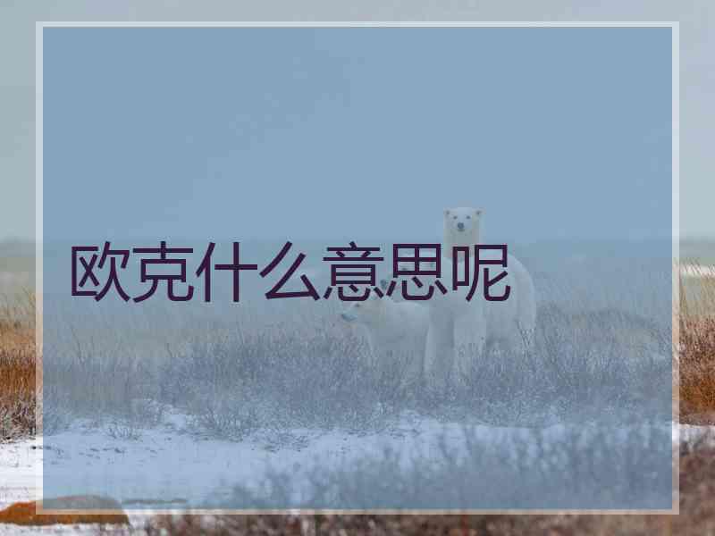 欧克什么意思呢