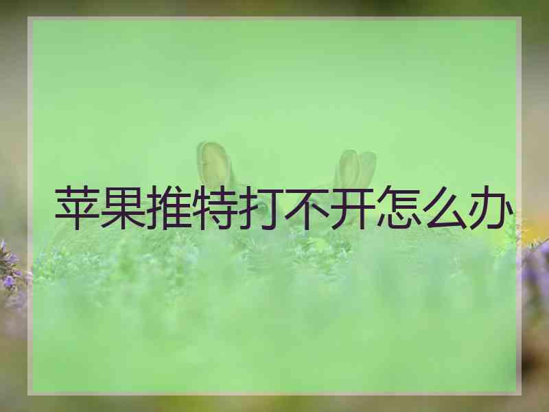 苹果推特打不开怎么办