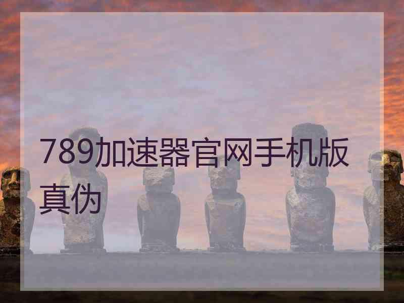 789加速器官网手机版真伪