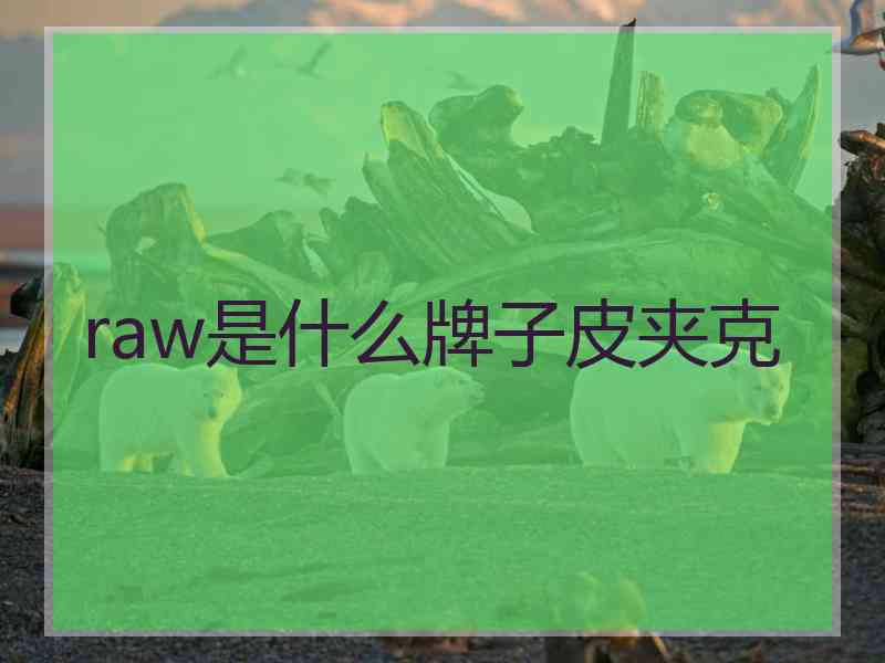 raw是什么牌子皮夹克