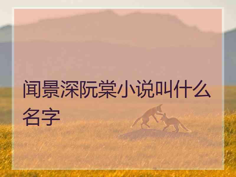 闻景深阮棠小说叫什么名字