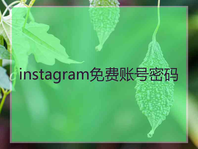 instagram免费账号密码