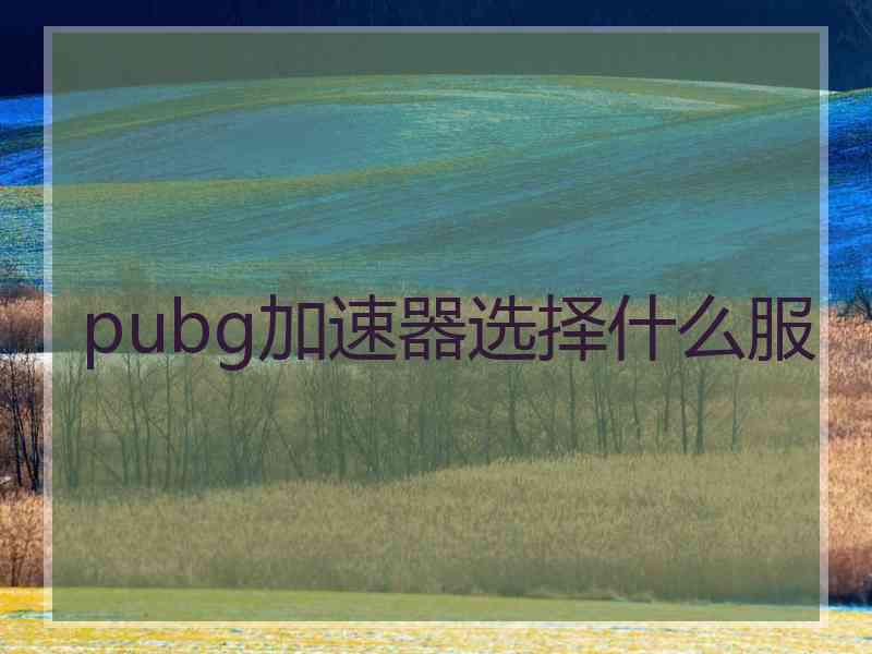 pubg加速器选择什么服