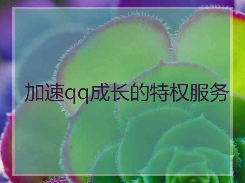 加速qq成长的特权服务