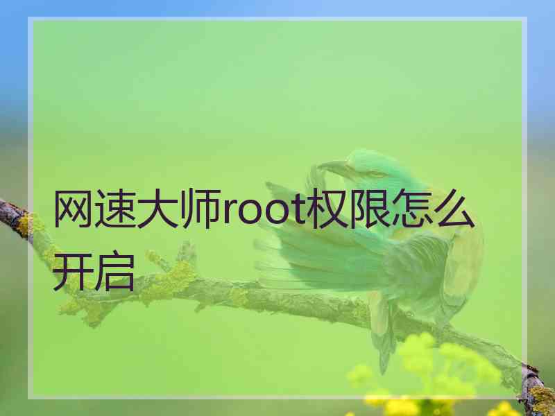 网速大师root权限怎么开启