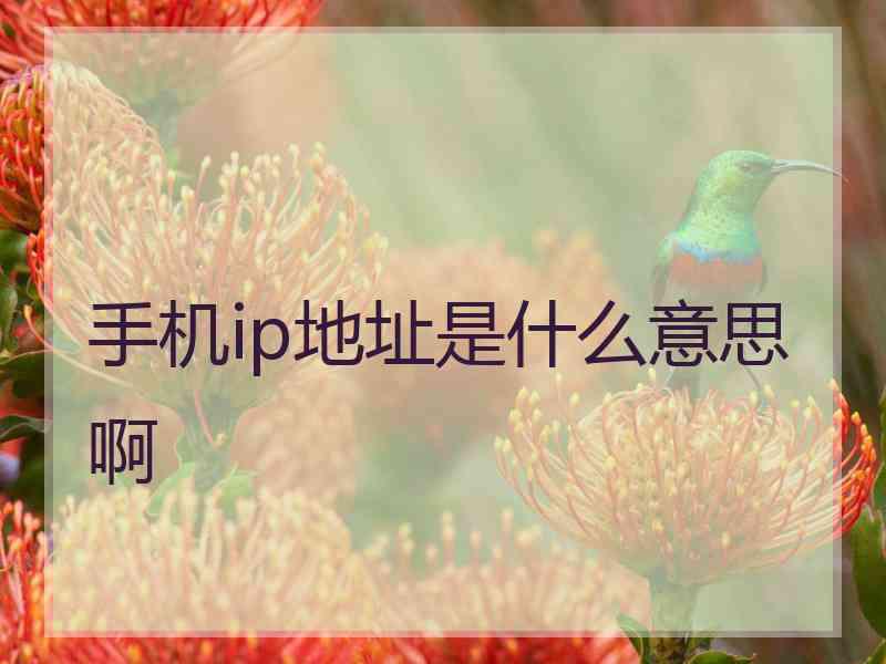 手机ip地址是什么意思啊