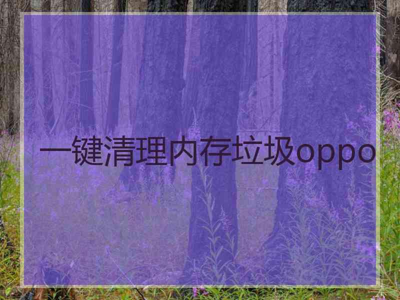 一键清理内存垃圾oppo