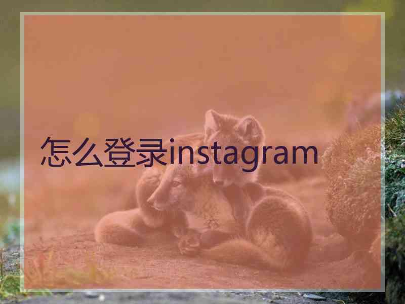 怎么登录instagram