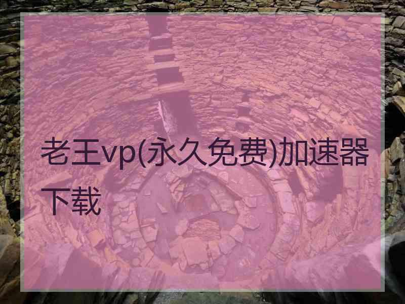 老王vp(永久免费)加速器下载