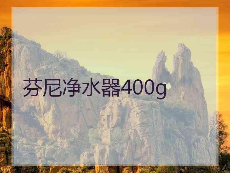 芬尼净水器400g