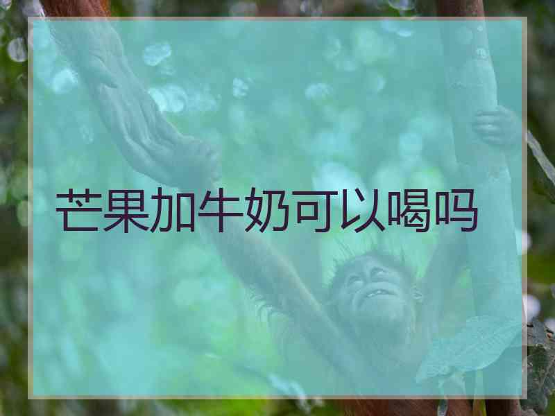 芒果加牛奶可以喝吗