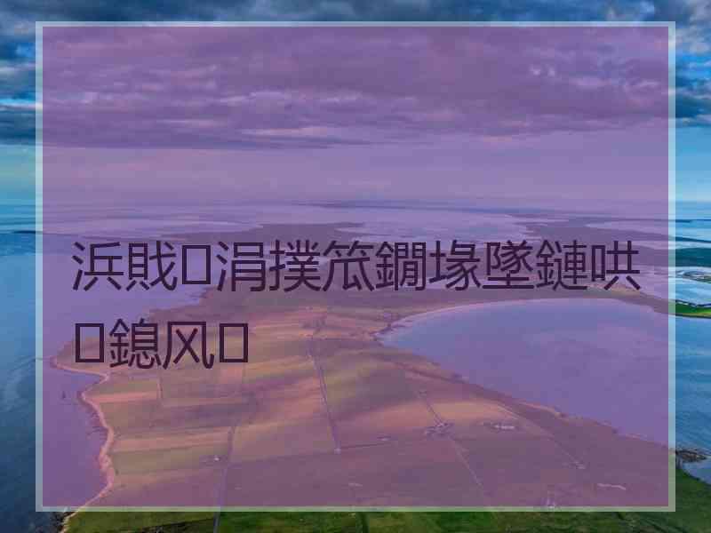 浜戝涓撲笟鐗堟墜鏈哄鎴风