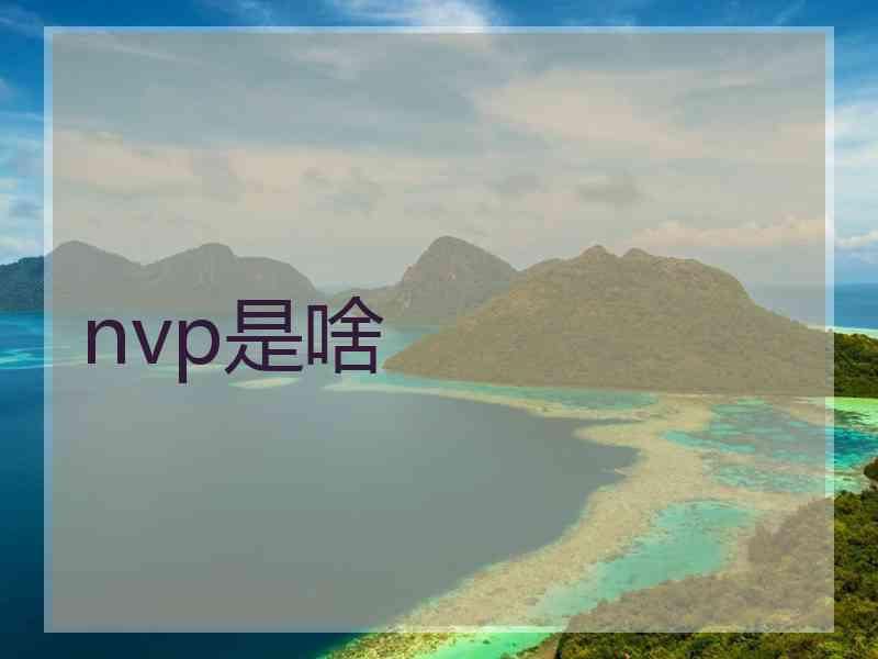 nvp是啥