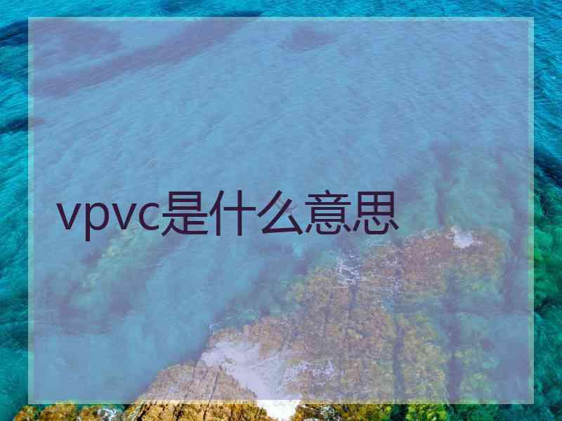 vpvc是什么意思