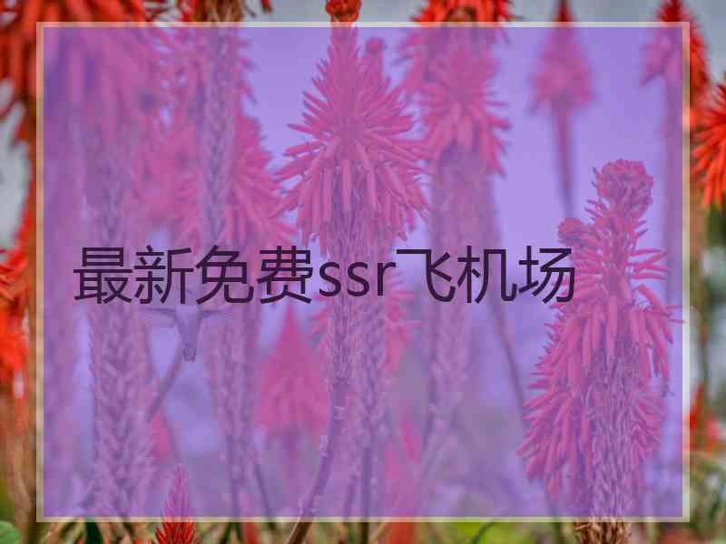 最新免费ssr飞机场