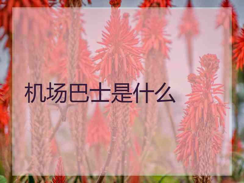 机场巴士是什么