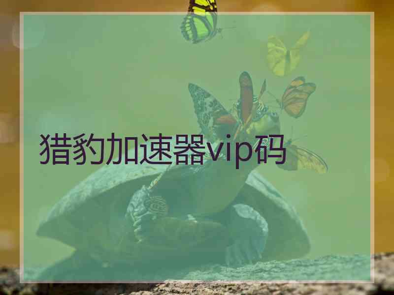 猎豹加速器vip码