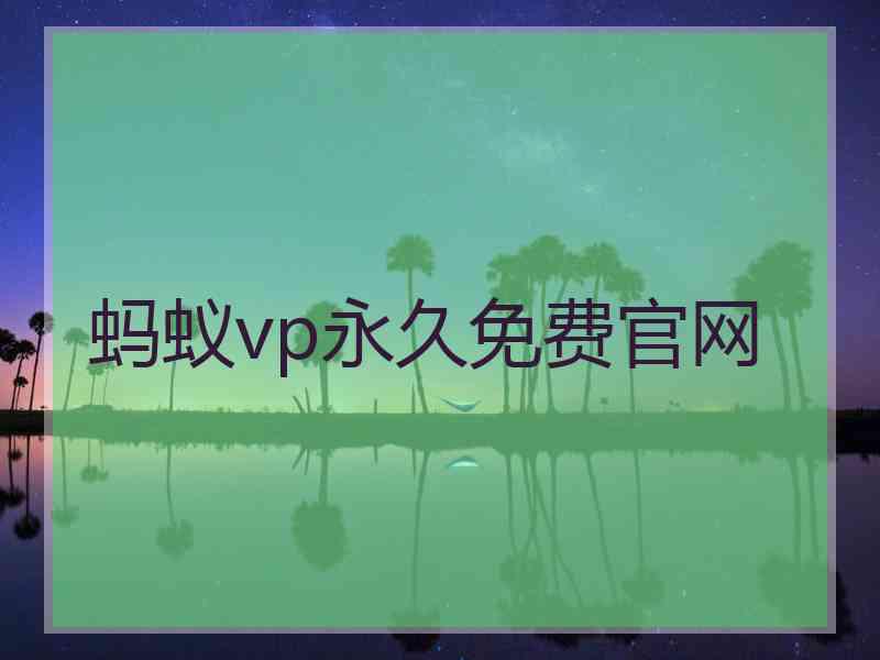 蚂蚁vp永久免费官网