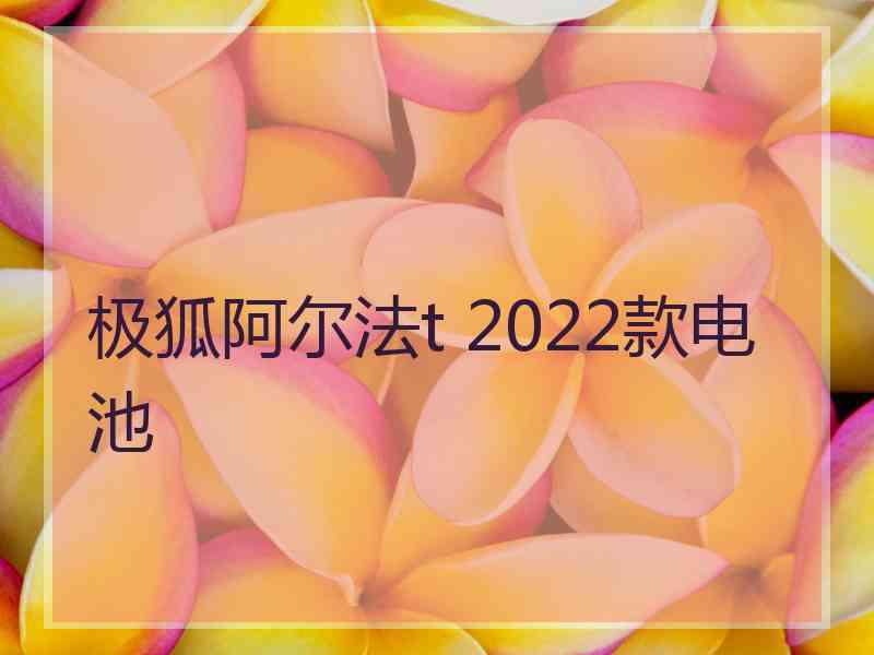 极狐阿尔法t 2022款电池