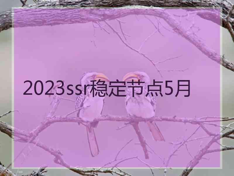 2023ssr稳定节点5月