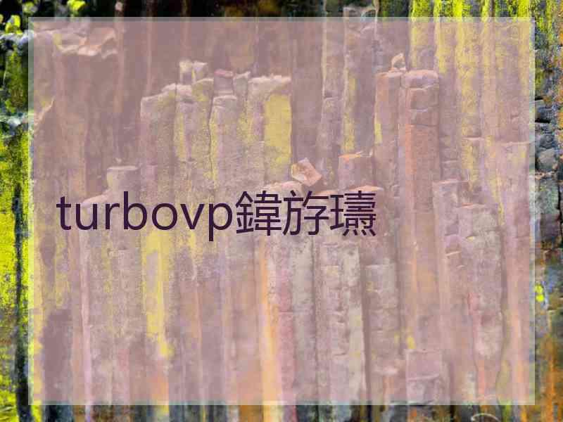 turbovp鍏斿瓙