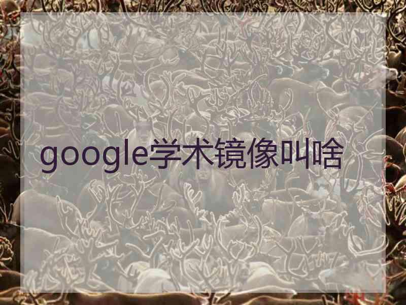 google学术镜像叫啥