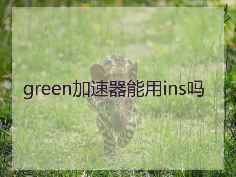 green加速器能用ins吗