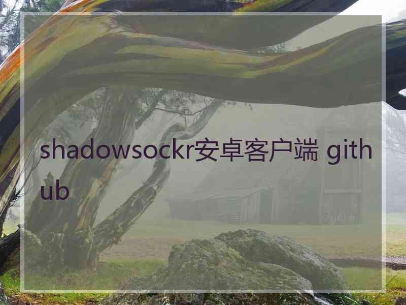 shadowsockr安卓客户端 github