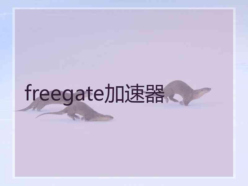 freegate加速器