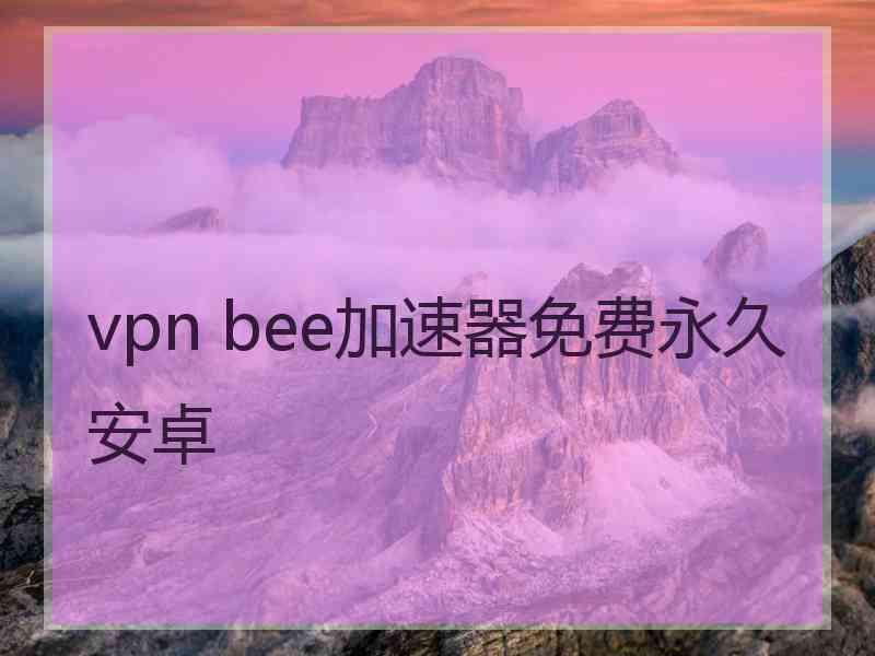 vpn bee加速器免费永久安卓