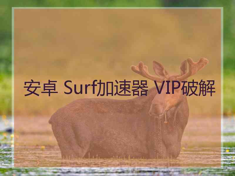 安卓 Surf加速器 VIP破解