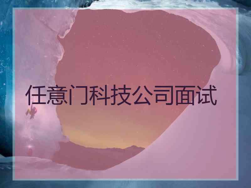 任意门科技公司面试