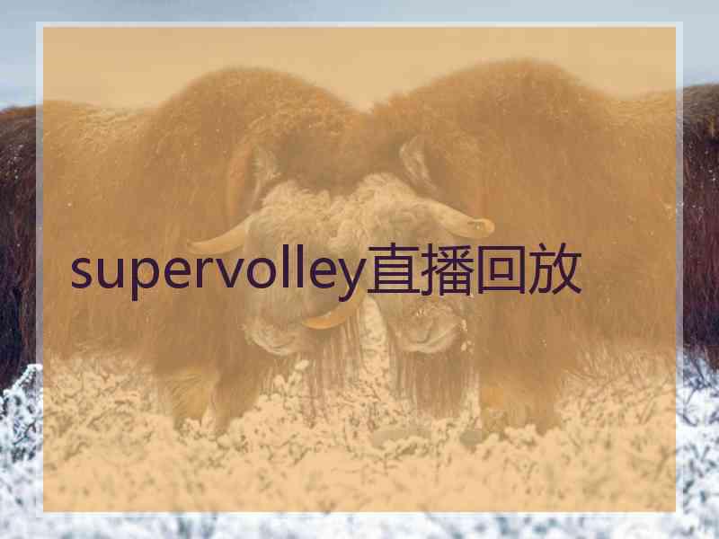 supervolley直播回放