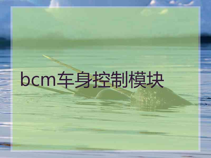 bcm车身控制模块